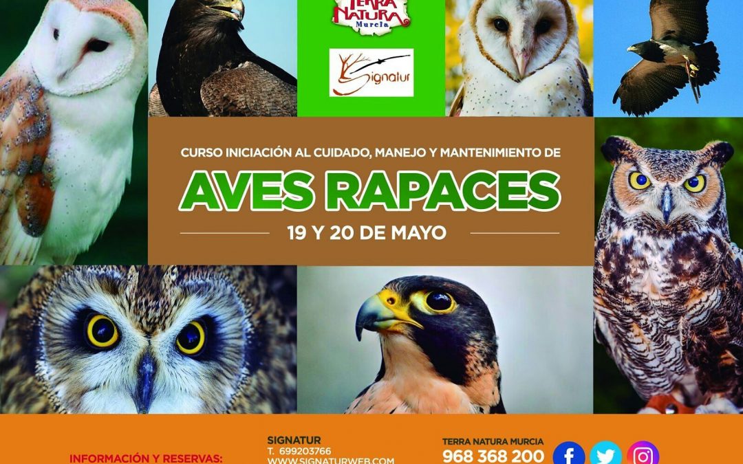 Curso Aves Rapaces