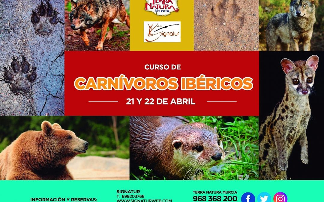 Curso Carnívoros Ibéricos