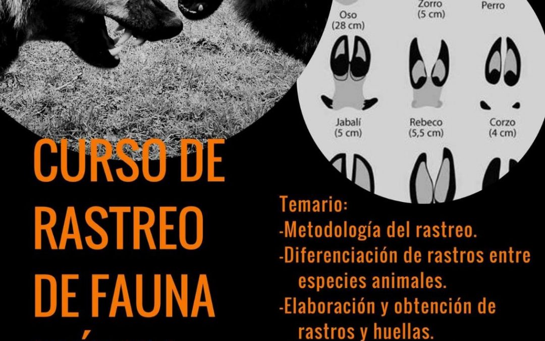 Curso de Rastreo de Fauna Ibérica